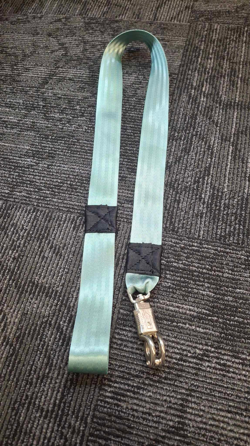 Walking Leads - Snap hook and Quick Release