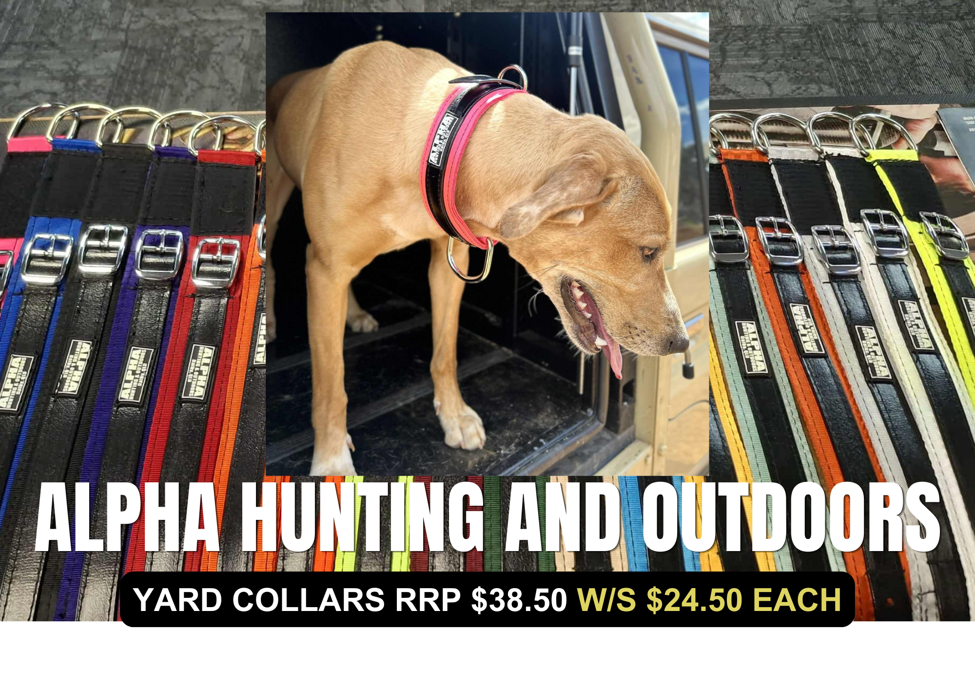 Alpha Hunting and Outdoors Yard Dog Collars – Heavy Duty - Single buy
