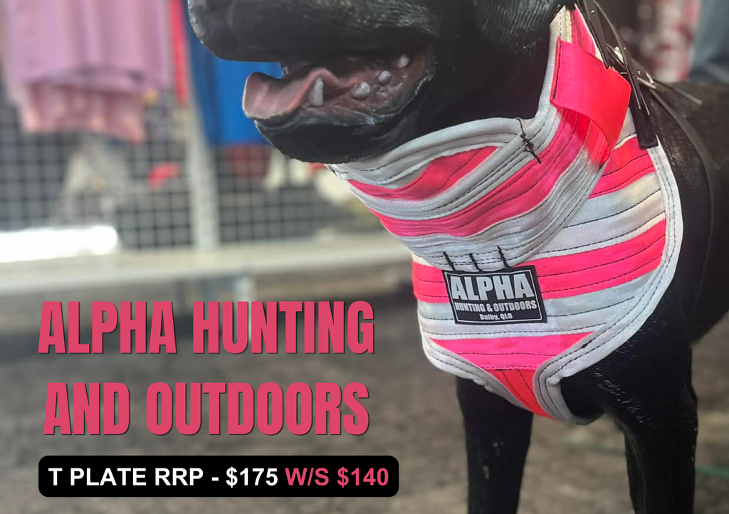 Alpha Hunting Dog Chest Plates with Kevlar Options